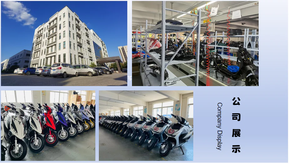 Chinese Electric Motorcycle manufacturer